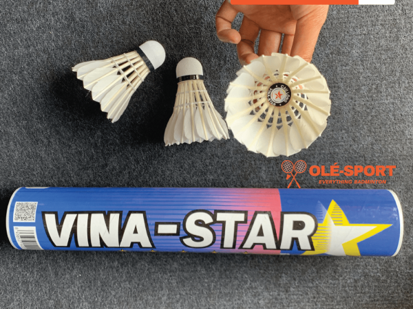 Quả cầu Vinastar