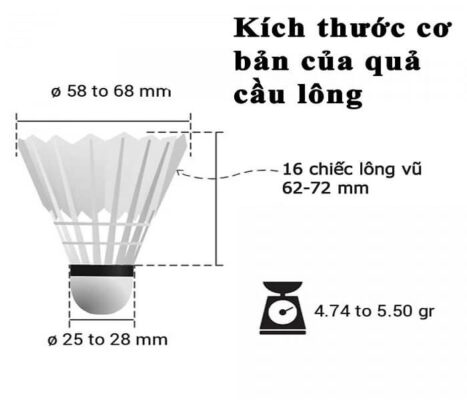 Kích thước quả cầu