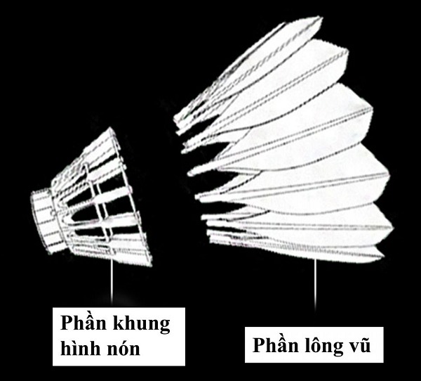 Phần lông vũ